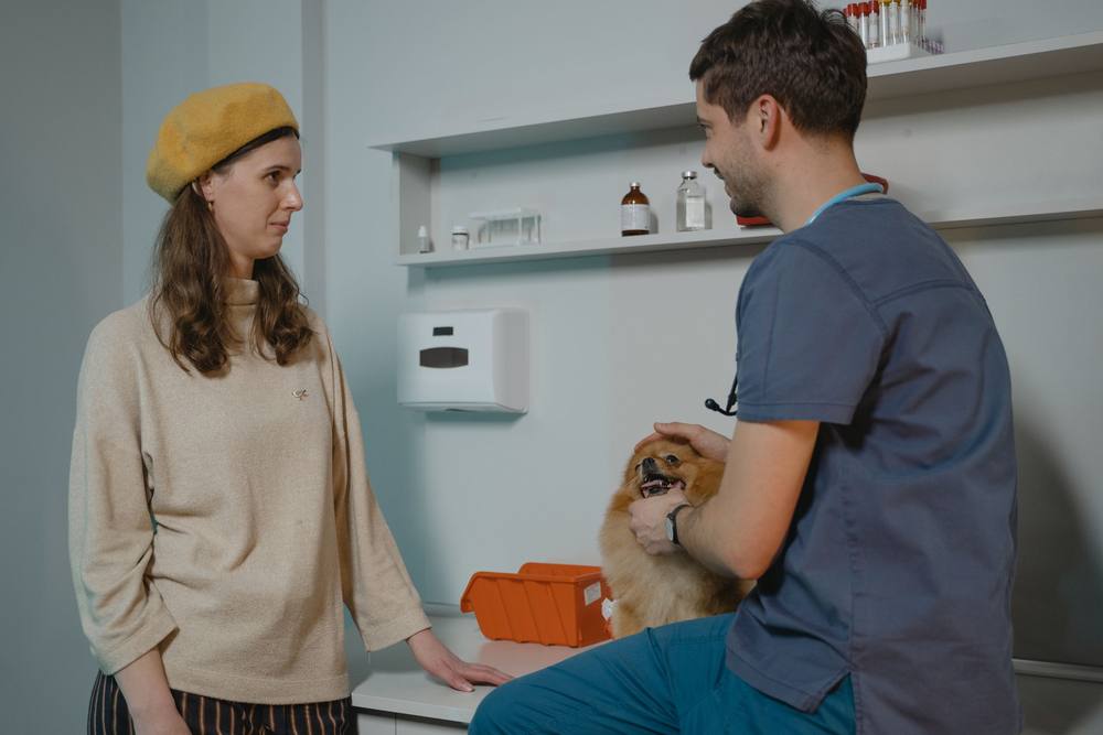 Stăpâna, în picioare, vorbește cu medicul, care ține pomeranianul pe masa de consult.