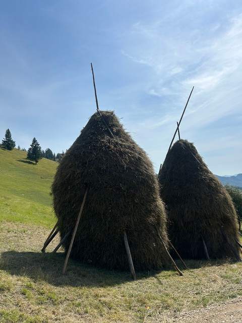 Două stoguri de fân pe pari, pe o pajiște cosită, cu molizi în spate